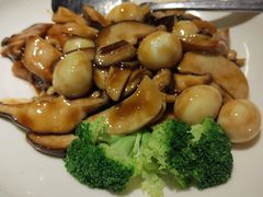 鲜菌鹌鹑蛋-小放牛炒菜馆(裕华万达店)