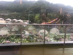 -重庆南山海昌汤都