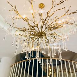 -新蝶变皮肤管理中心