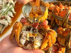 -七的湖·江南蟹舫·阳澄湖农家菜(蟹舫苑店)