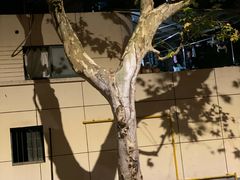 -RUMORS COFFEE ROASTERY鲁马滋咖啡(湖南路店)