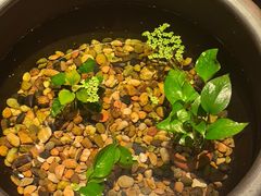 -瓦舍茶馆(聚源路店)