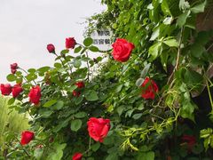 -元大都城垣遗址公园