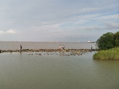 -上海吴淞炮台湾国家湿地公园