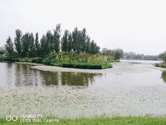 -东郊湿地公园
