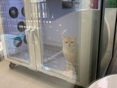 -奈斯宠物医院·核磁CT·异宠专科·内镜(中南店)