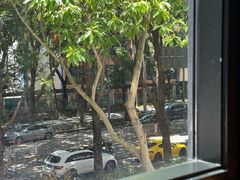 -LOTTA COFFEE(安居博文苑店)