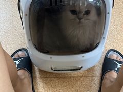 -宠颐生中康贝怡动物医院