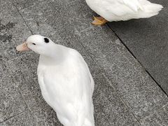 -白塘生态植物园