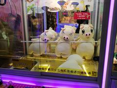 -PAWTOY爪e玩偶店(天兴罗斯福店)