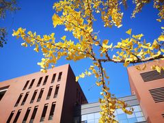 -大连理工大学(凌水校区)