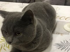 -吱咖啡西式简餐