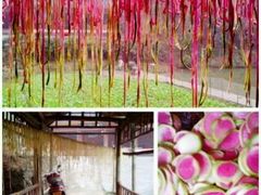 -常德桃花源景区