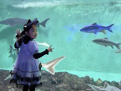 -太平洋海底世界