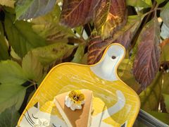 芝士蛋糕-三忘湖 SWANSEEN(柳荫公园店)