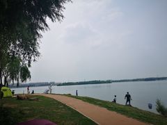 -丁香湖公园