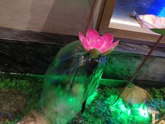 -青水瓦台汤泉(未央店)