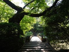 -汇龙潭