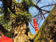 -无锡惠山寺