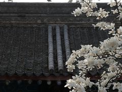-万寿八仙宫