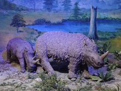 -中国第四纪冰川遗迹陈列馆