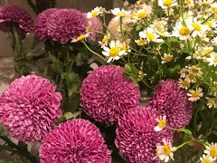 -花邻FloweringLife花艺气球派对(武康大楼店)