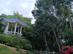 -厦门悦华酒店