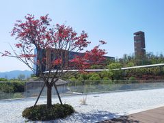 -东钱湖小普陀景区