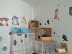-我爱猫咪·猫咖·狗咖·安哥拉兔·羊驼咖(小寨华旗店)