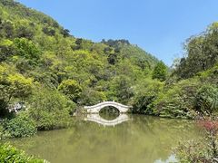 -黔灵山公园