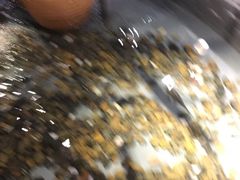 -龙门烤鱼(东方宝泰店)