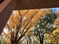 -瑞福园联谊餐室(茂名南路店)