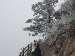 -洛阳白云山景区