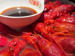 -红盔甲·小龙虾(长寿路店)