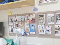 -美联众合动物医院·24h京西诊疗中心