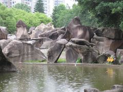 -三峡梯城