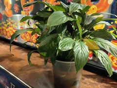 -滇铺子·云南特色菜·第九届野生菌美食节(东风东路c86店)