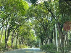 -Apple零售店(深圳益田假日广场店)