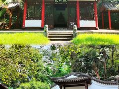 -深圳国际园林花卉博览园