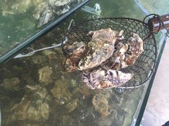 -海岸风情蒸汽海鲜自助餐厅(家宴金手勺店)