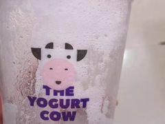 原味酸奶紫米露-一只酸奶牛(八一路店)