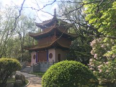 -沈阳植物园