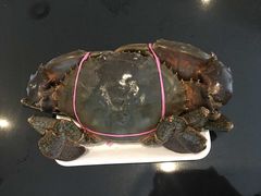 -悉尼鱼市场