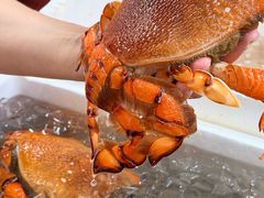 -肥弟大排档(汕樟路店)