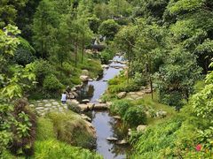 -云溪植物园
