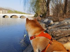 -马家湾湿地公园
