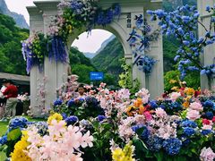 -云台山风景名胜区