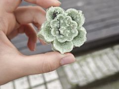 -江南春(中山中路店)