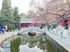 -香山公园