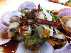 扇贝-海岛渔村大酒店(云霄路店)